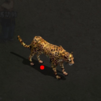 ʯĹ���߲�ʵս�����뿪�ż������